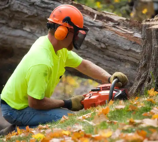 tree services Loyall